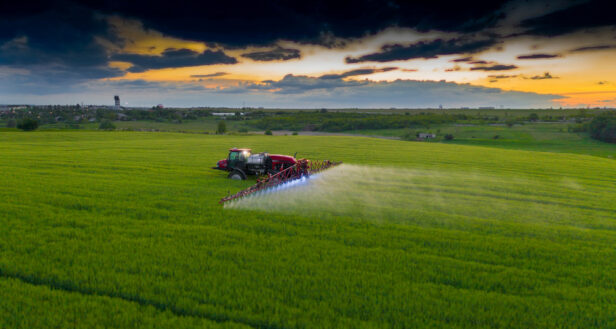 shutterstock_1927630643