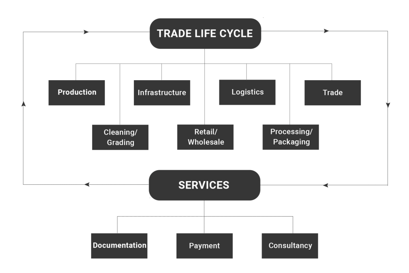 trade-life-cycle-1466x977